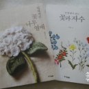 배*수 이미지