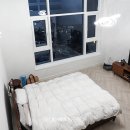 이안해운대파일론 이미지