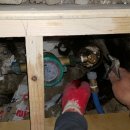 이문초교 이미지