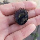 강동누리길(판지) 공중화장실 | 울산 정자 해변수변공원에서 무박캠핑!