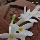 신울산고시텔 네이버블로그