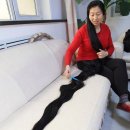 제일머리 이미지