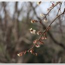 부곡도서관 옆 이미지