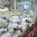 뽀꾸뽀꾸 이미지