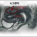 경희행복한의원 이미지