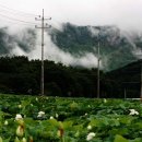 경남함양이은349 이미지