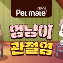 D&C동물병원 이미지