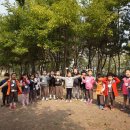 참아름 유치원 Daum카페