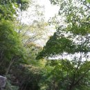 강천산 도라지골 이미지