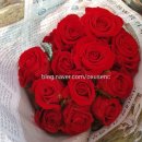 장미농원 이미지