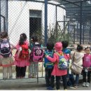 왜관동부초등학교 이미지