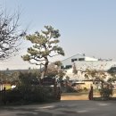 예인유치원 이미지