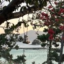 인성주유소 이미지