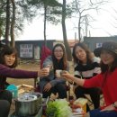 후평숲캠핑장 이미지