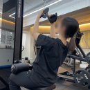 랩 지피티짐 이미지