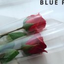 파인플라워 - 서초구 마방로6길 8-11 | 파인플라워