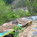 고성농장 이미지