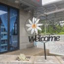 더몬드 | 제주 한림 협재 펜션/숙소 더몬드협재 후기: 잊지 못할 휴식과 즐거움!