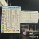 형제타이어 해도점 | 구래동스팀세차 후기 (디테일러명 김포형제점)