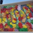 전망대로 | 보발재 전망대 후기