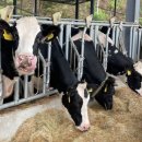 투데이목장 이미지