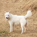 금골농장 이미지