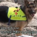 오케이박사