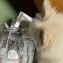 대구남산동우체국 이미지