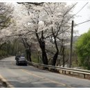 초성 농장 이미지