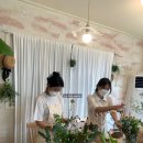 라미아세라
