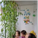 현어린이집 이미지