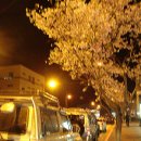 미르당구장 이미지