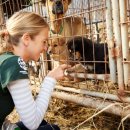 소래동물병원 이미지