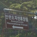 자연통나무