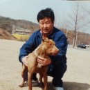 빅타 이미지