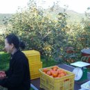 수석 농장 이미지