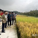 평택농업협동조합 이미지