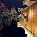 움직이는 방 이미지