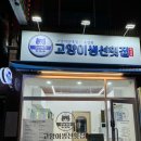 고양이생선횟집