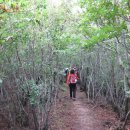 호룡곡산 구름다리 이미지