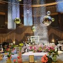 강남 파르나스몰 초콜릿 맛집 레더라 초콜릿(Läderach)방문 후기 기념일 선물추천
