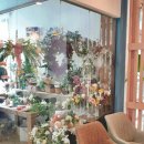 --- 조우(遭遇) --- 이미지