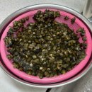 쌍용터널 앞 | 경북 문경 쌍용계곡 당일치기 물놀이 후기!! 프라이빗한 장소 여름 스노클링 다슬기 잡기