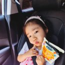 사과사랑담은과일 | KREAT 말랭이 3종 솔직후기｜실온보관 가능한 건강 간식♡ 사과·배·감 골라먹는 재미🍎🍐🍊