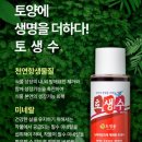 한농종묘사 이미지