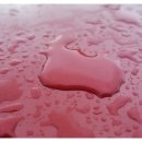 한국셀프세차장 이미지