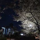 국대떡볶이대구대점