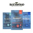 매시코리아 이미지