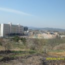 금릉초교 이미지