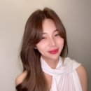 수석다인